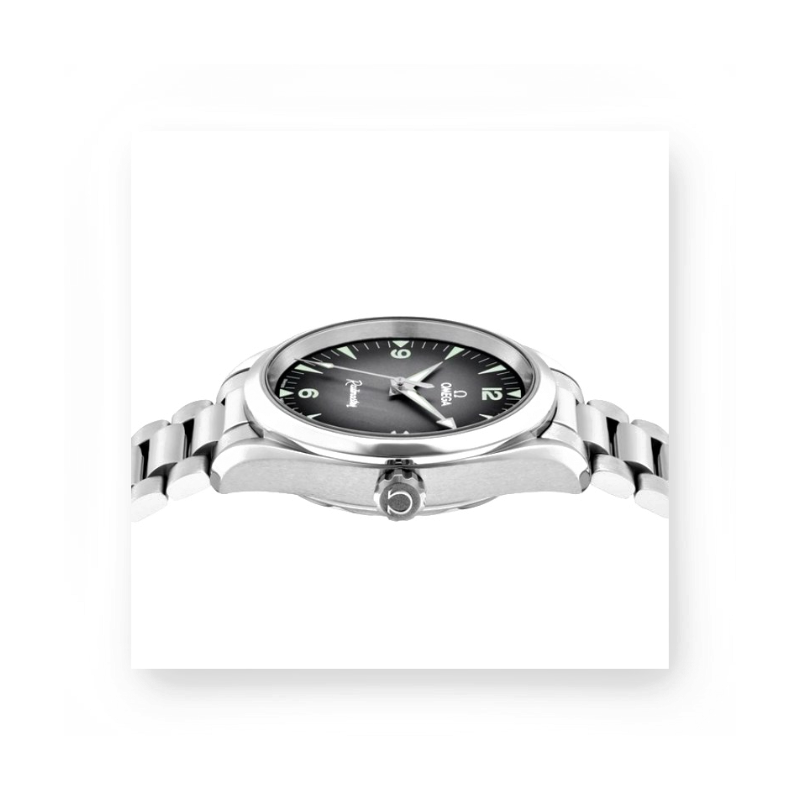 Omega OM-10 Railmaster ângulo 3